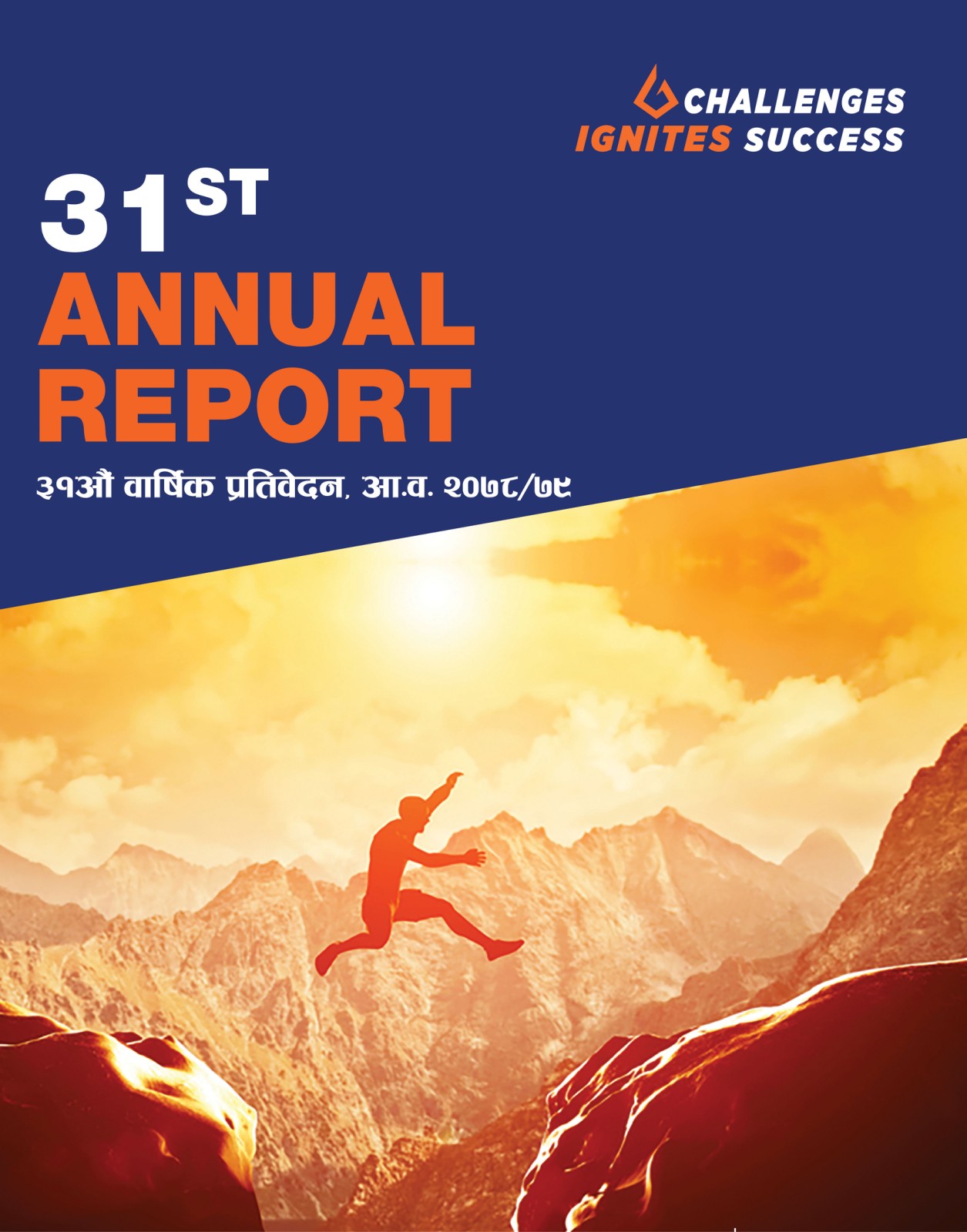 31st annual report